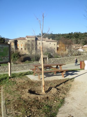 Parking de Rochemure : les travaux sont terminés avec la plantation d'arbres