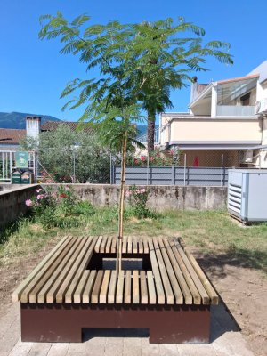 Nouveau coin de verdure : pose du banc ! 