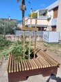 Appel à témoins – Dégradations sur un arbre communal
