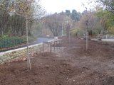 Plantation de nouveaux arbres au belvédère des orgues basaltiques