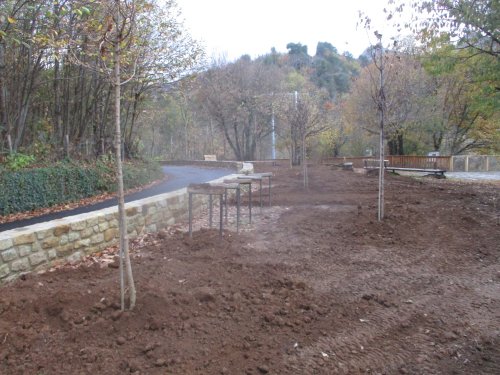 Plantation de nouveaux arbres au belvédère des orgues basaltiques