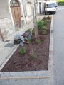 La remise en beauté des espaces verts