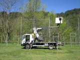 Coupe de printemps pour les arbres du stade