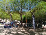 Un raid VTT à Jaujac : sport et nature au rendez-vous