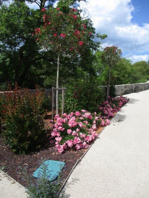 Plantations de végétaux et de fleurs sur la commune 