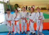 Judo , encore des rencontres et des podiums