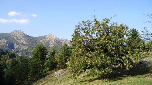 La Fête de la châtaigne, le 09 octobre 2016 à Jaujac