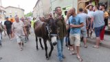 La course aux ânes en images