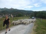 La Fête de la transhumance à Jaujac, dimanche 10 juin