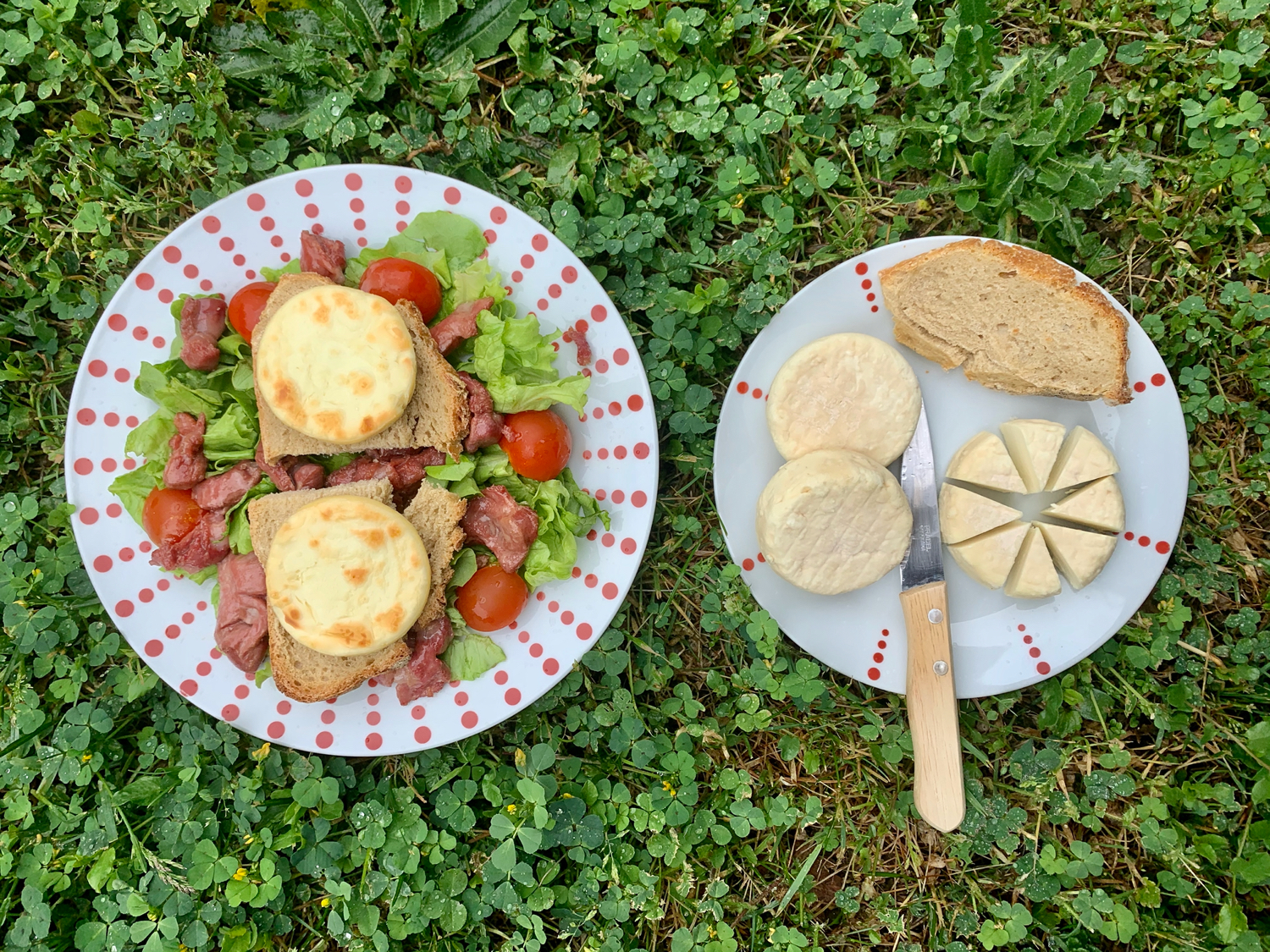 Livraison fromage de chèvre