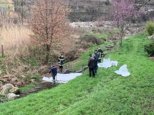 INFORMATION : POLLUTION DANS LE RUISSEAU DU CHAPELIER