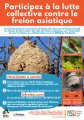 Information importante concernant la lutte contre le frelon asiatique et la protection des abeilles