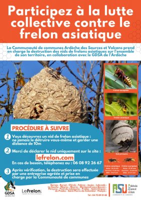 Information importante concernant la lutte contre le frelon asiatique et la protection des abeilles