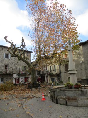 Elagage des arbres Place St Bonnet