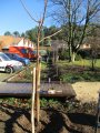 Les travaux du nouveau parking paysager de Sportissage se terminent par la plantation des végétaux !