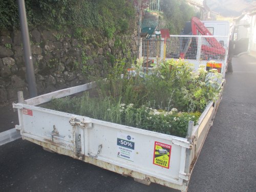 Opération plantations des espaces verts le long de la rue Dubois Maurin