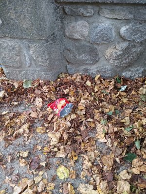 Journée de ramassage des déchets ce 21 septembre
